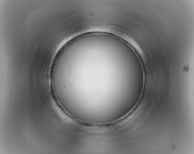 X0000092210980200709140858