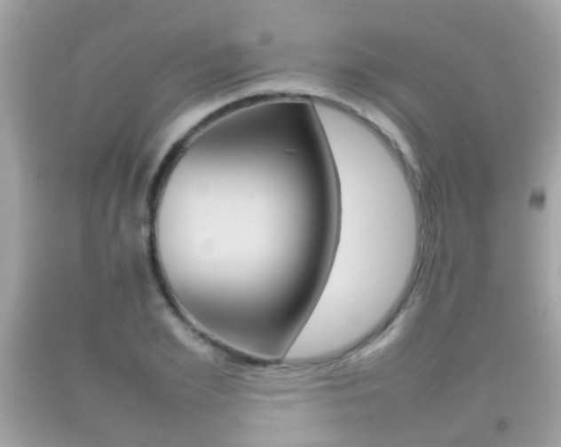 X0000092210981200709140858