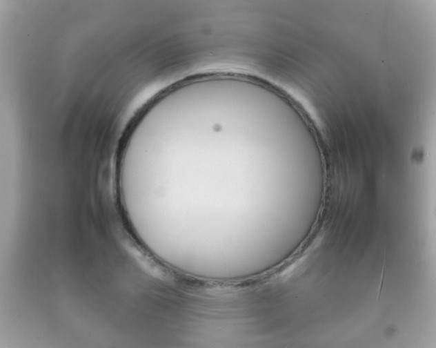 X0000092210982200709140858