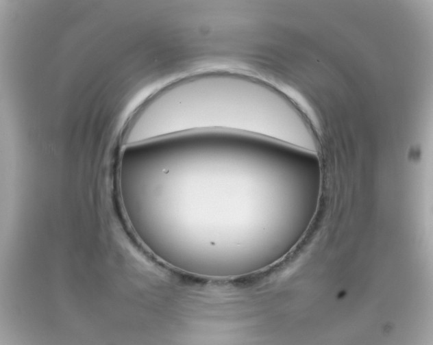 X0000092210983200709140858