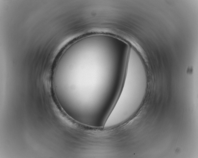 X0000092210984200709140858