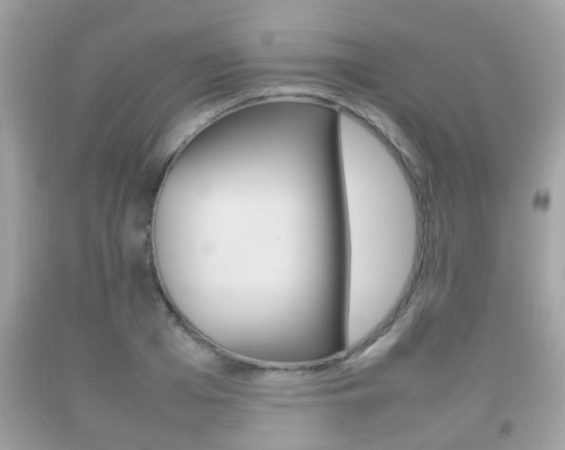 X0000092210985200709140858