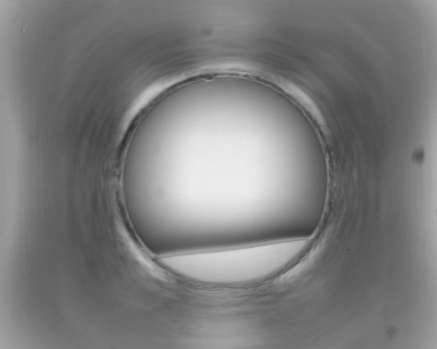 X0000092210989200709140858