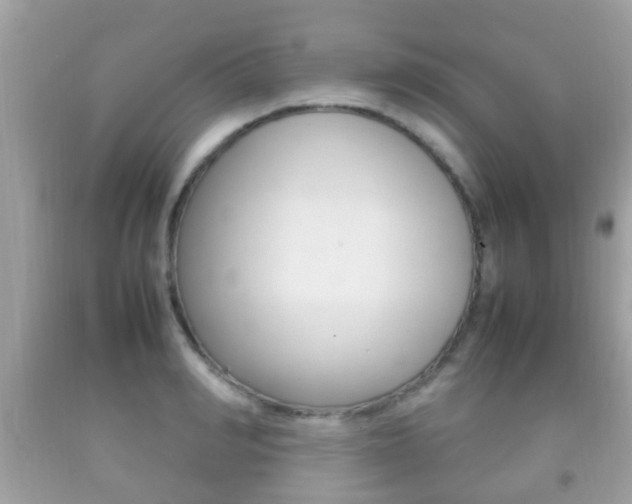 X0000092210990200709140858