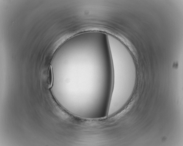 X0000092210993200709140858