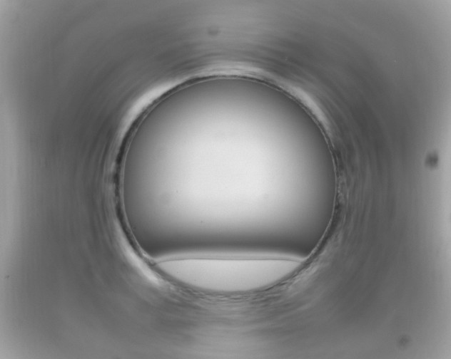 X0000092210995200709140858