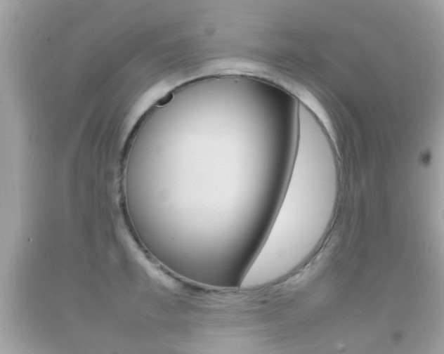 X0000092210997200709140858