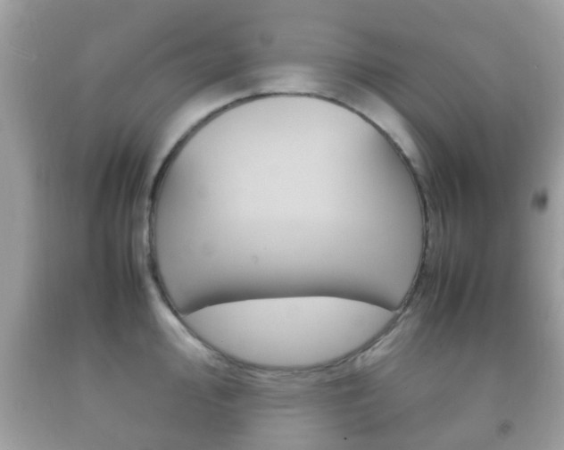 X0000092211000200709140858