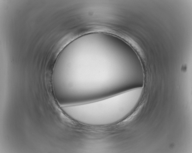X0000092211001200709140858
