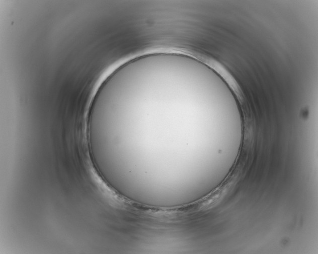 X0000092211004200709140858