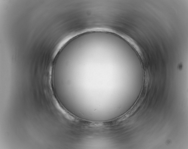 X0000092211006200709140858