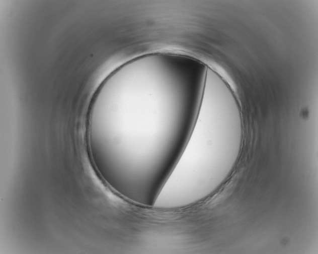 X0000092211007200709140858