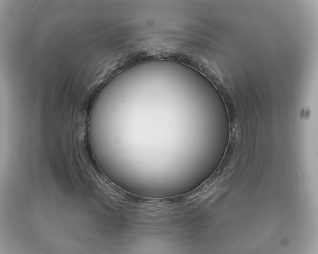 X0000092211012200709140857