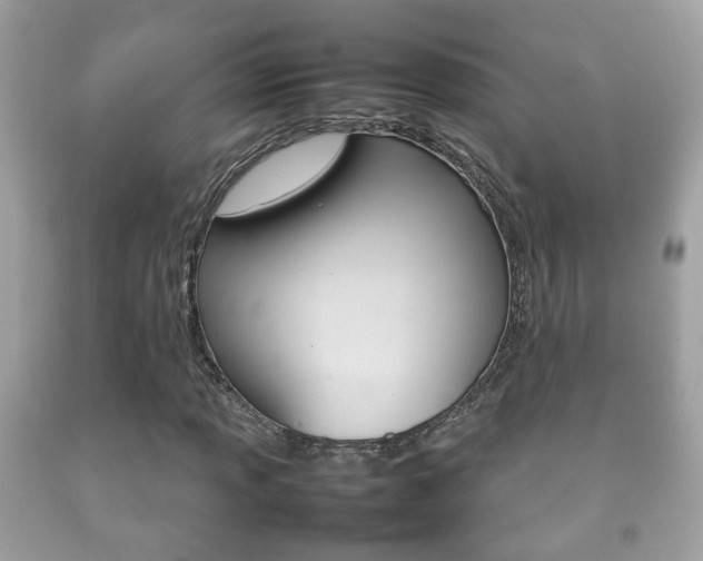 X0000092211013200709140857