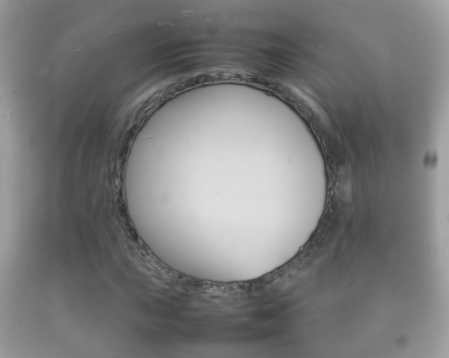 X0000092211015200709140857