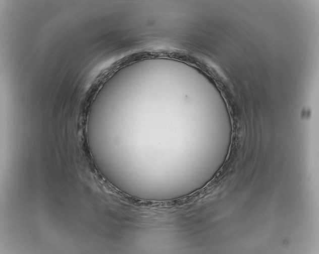 X0000092211016200709140857