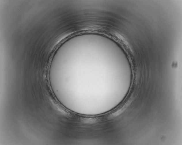X0000092211017200709140857