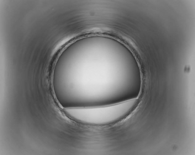 X0000092211018200709140857