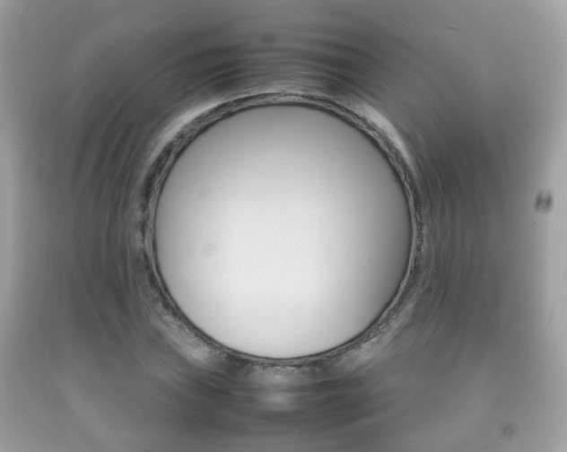 X0000092211019200709140857