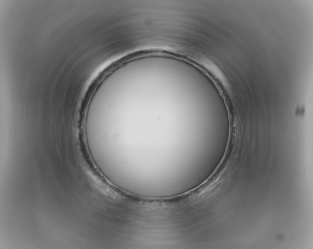 X0000092211020200709140857