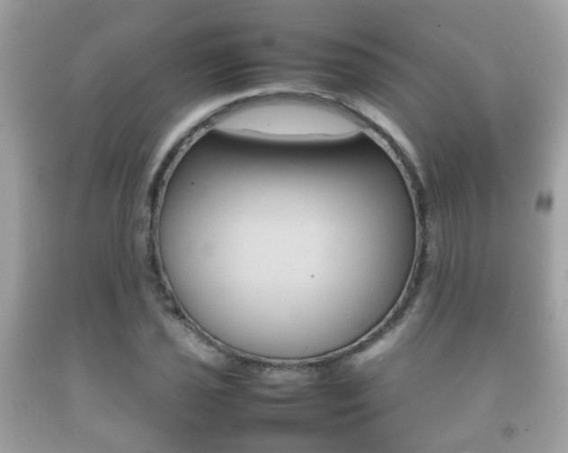 X0000092211021200709140857