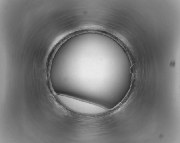 X0000092211022200709140857