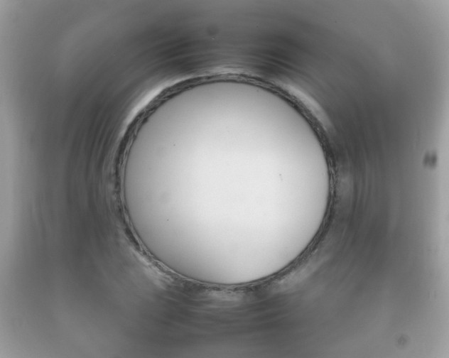 X0000092211023200709140857