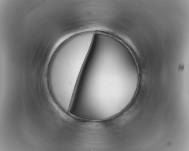 X0000092211024200709140857