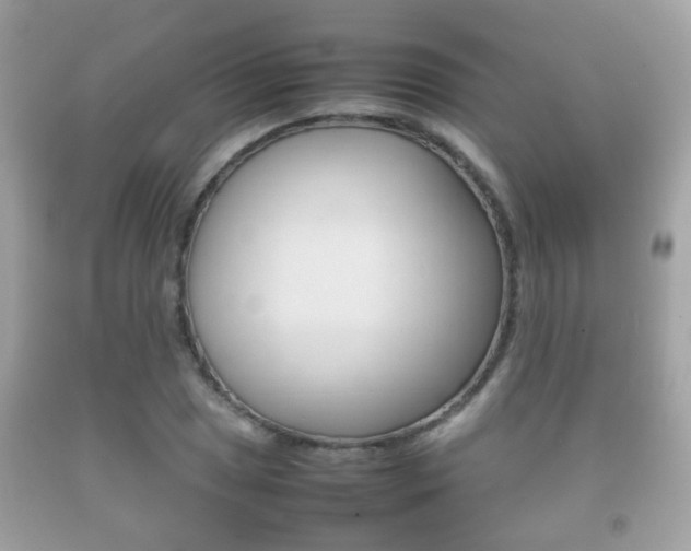 X0000092211025200709140857