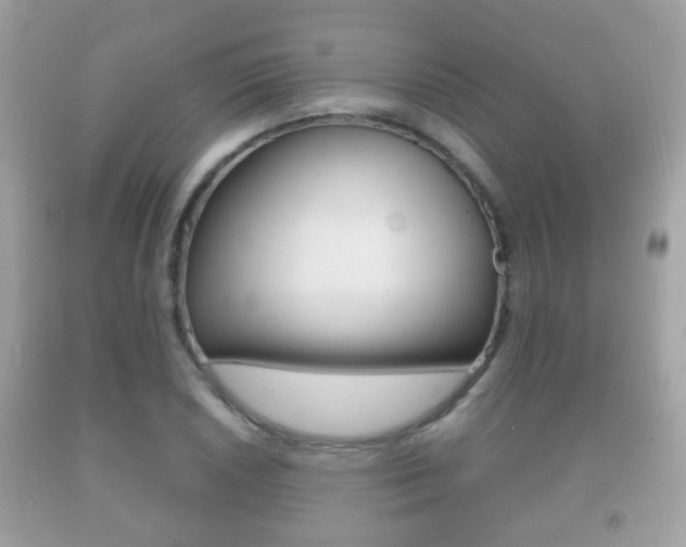 X0000092211026200709140857