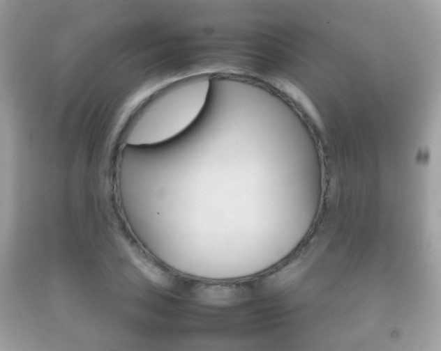 X0000092211027200709140857