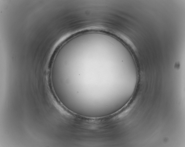 X0000092211029200709140857