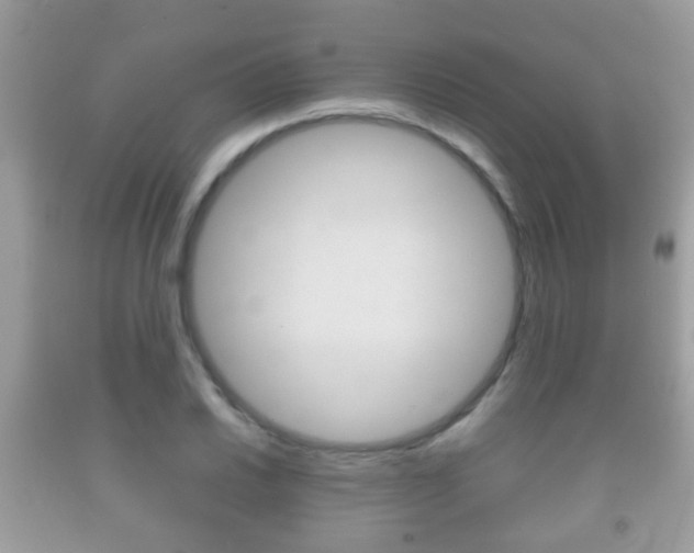 X0000092211030200709140857