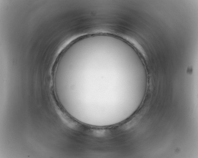 X0000092211031200709140857