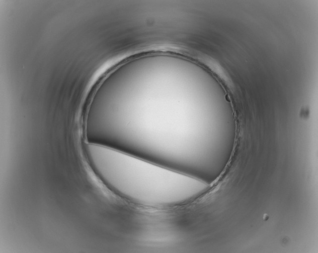 X0000092211032200709140857