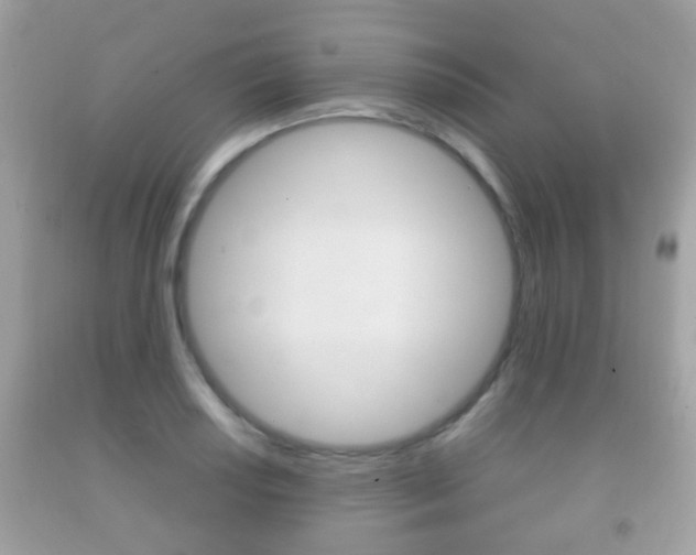 X0000092211034200709140858