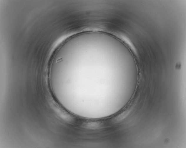X0000092211035200709140858