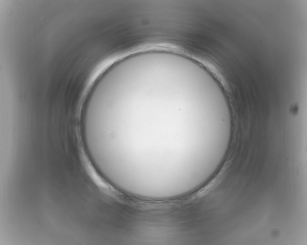 X0000092211038200709140858