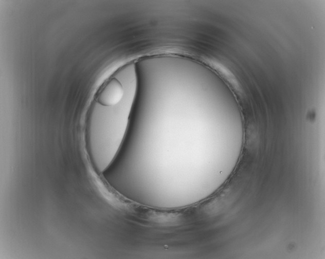 X0000092211039200709140858