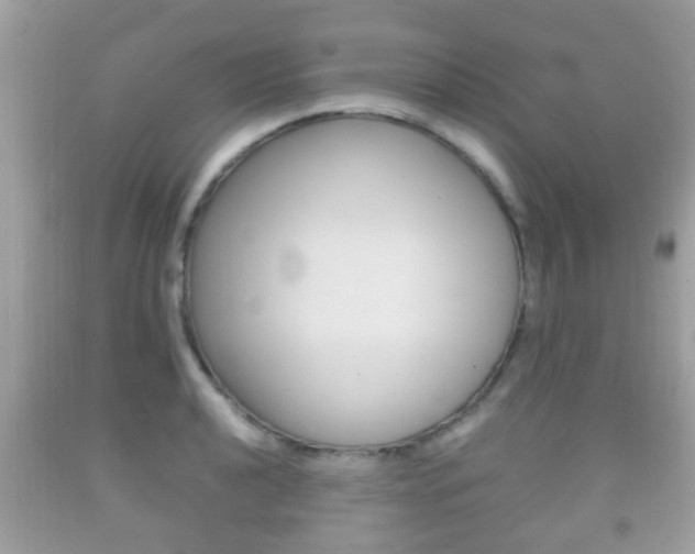 X0000092211040200709140858