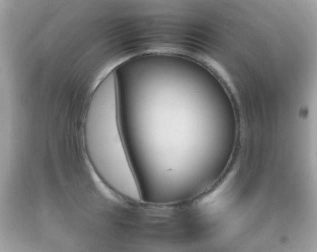 X0000092211041200709140858