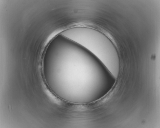 X0000092211042200709140858