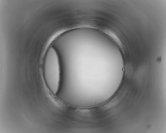X0000092211043200709140858