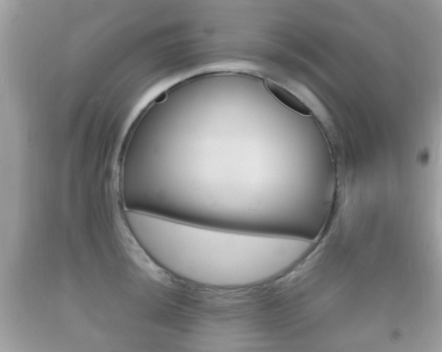 X0000092211044200709140858