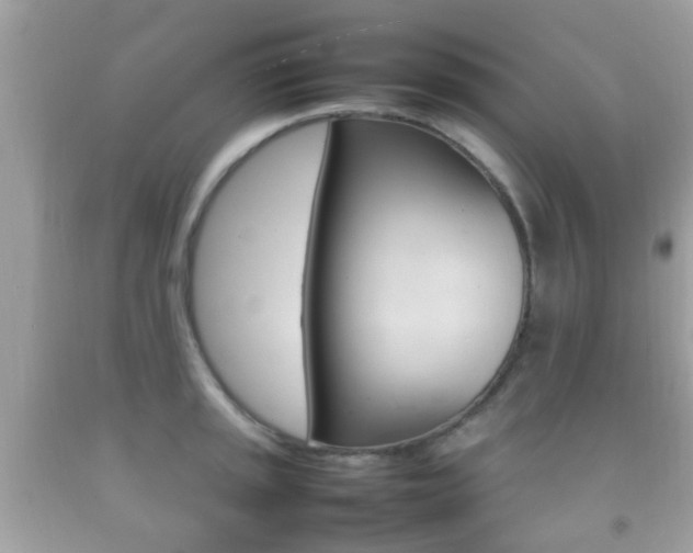 X0000092211045200709140858