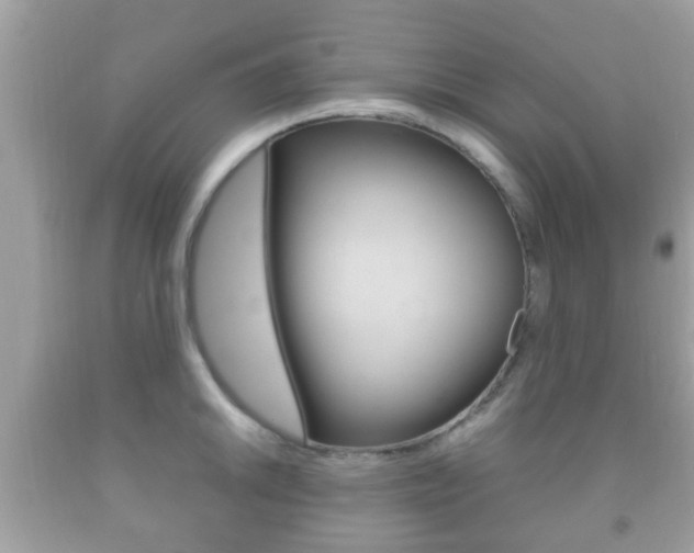 X0000092211046200709140858
