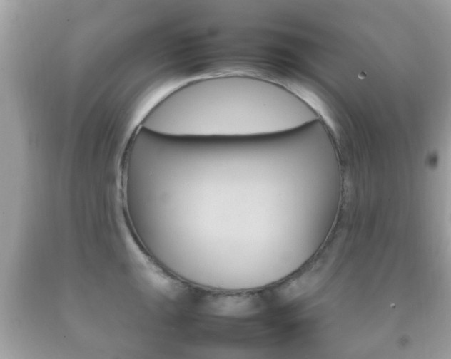X0000092211047200709140858