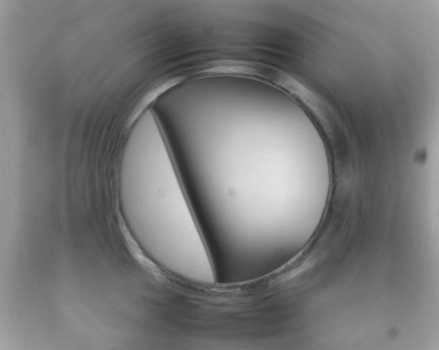 X0000092211049200709140858