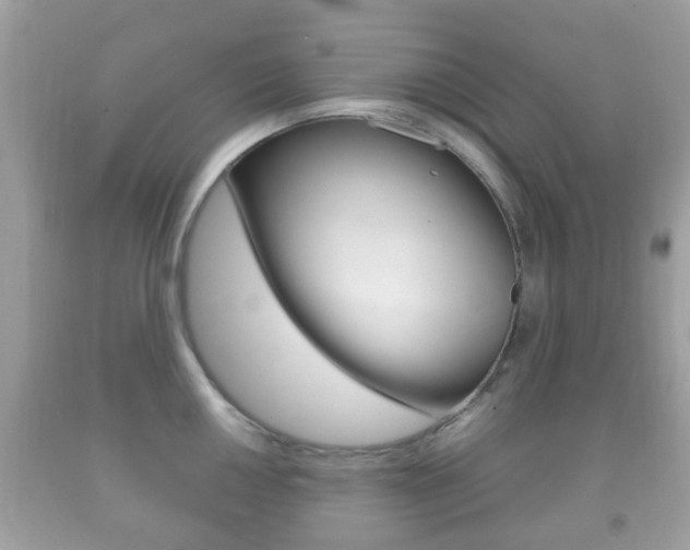 X0000092211050200709140858