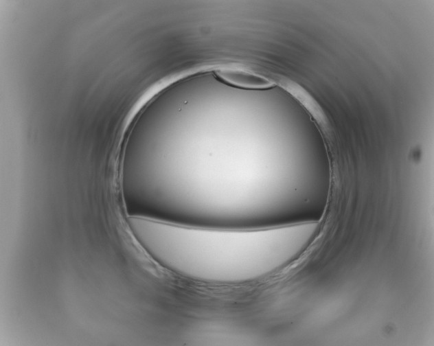 X0000092211052200709140858